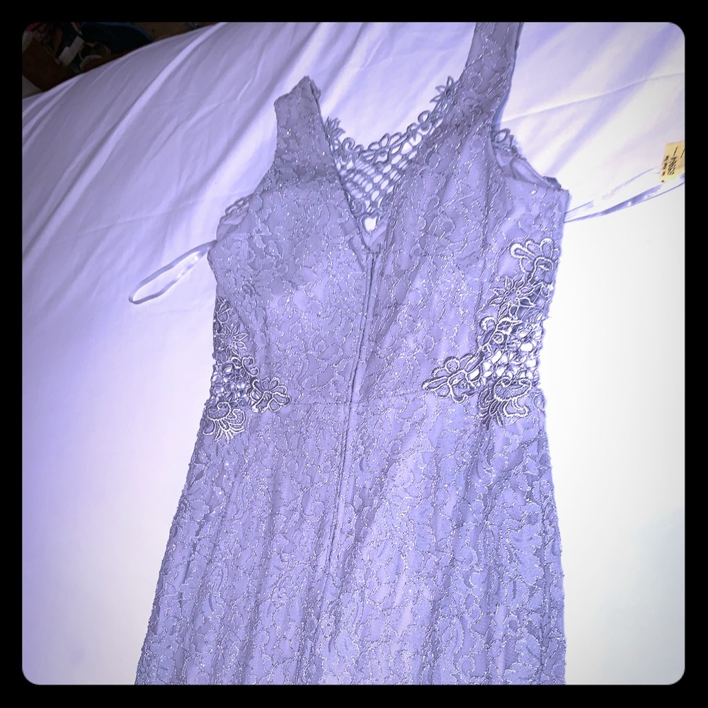 Silver Gown